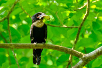 Khao Yai National Park